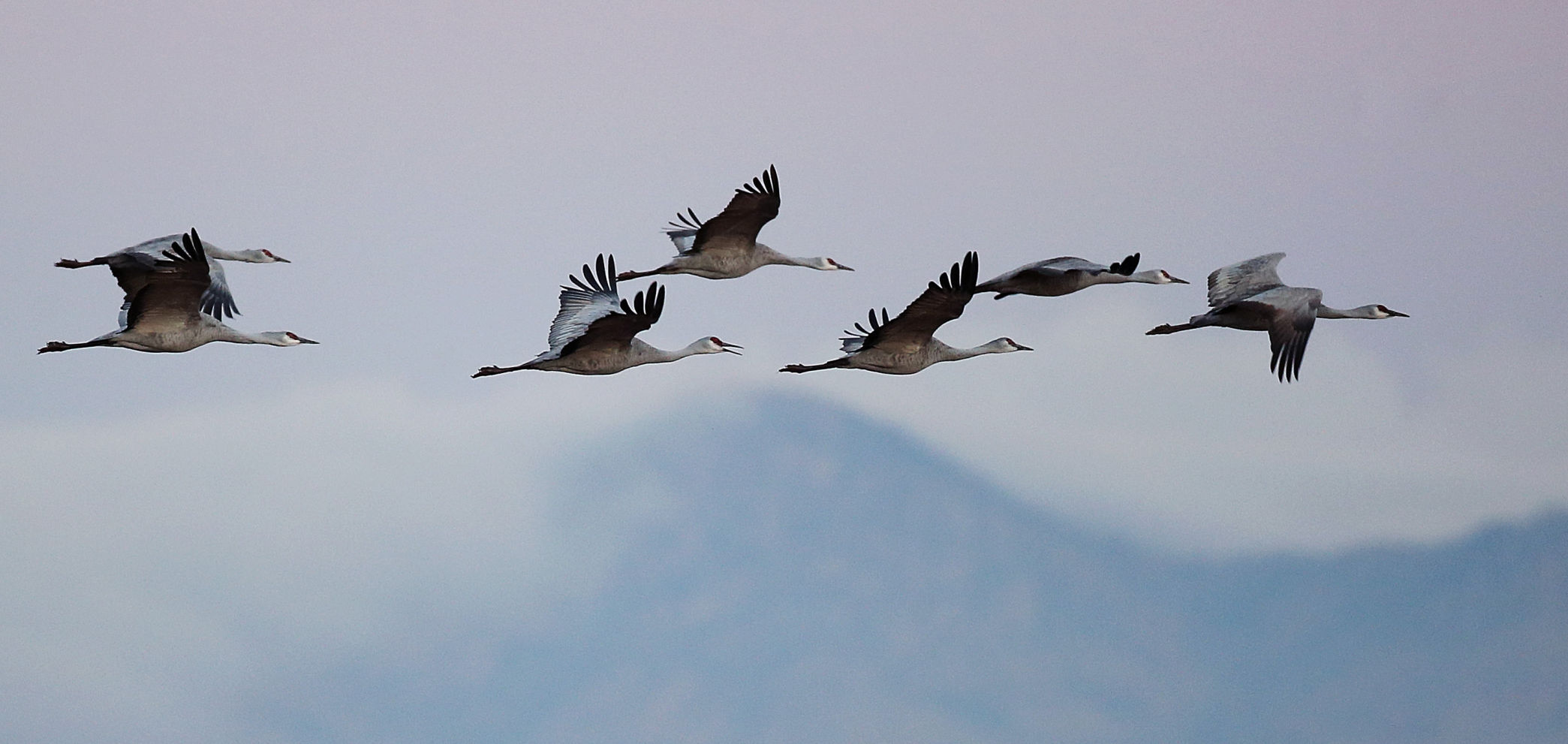 2018 Wings over Willcox
